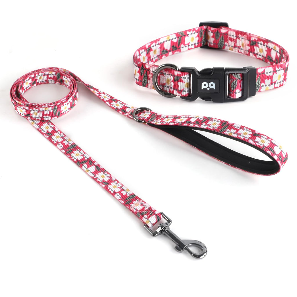 Reflective Dog Collar & Leash Set