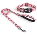 Reflective Dog Collar & Leash Set